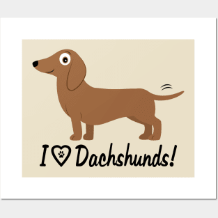 I Love Dachshunds! Posters and Art